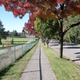 Illustration for article titled Pics from the Curbside: 2018-10-14 to Kitsilano Secondary School
